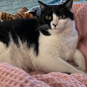 Meet your Posher, Donna